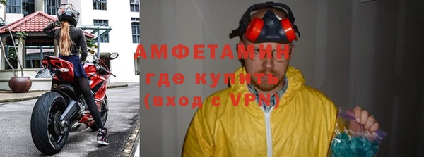 ГАЛЛЮЦИНОГЕННЫЕ ГРИБЫ Осинники