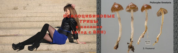 mdma Осташков