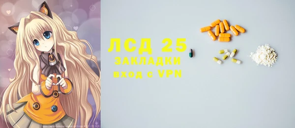 ГАЛЛЮЦИНОГЕННЫЕ ГРИБЫ Осинники
