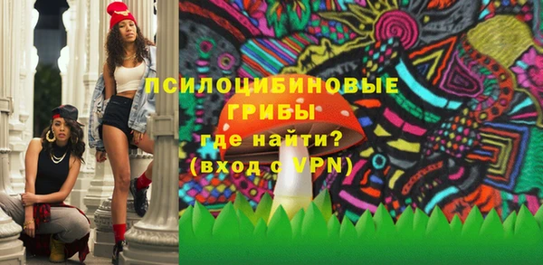ГАЛЛЮЦИНОГЕННЫЕ ГРИБЫ Осинники